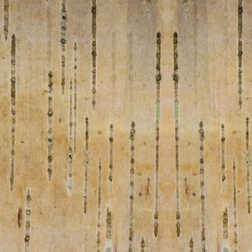 Peeling Bark Mural Wallpaper M8948 - Sample