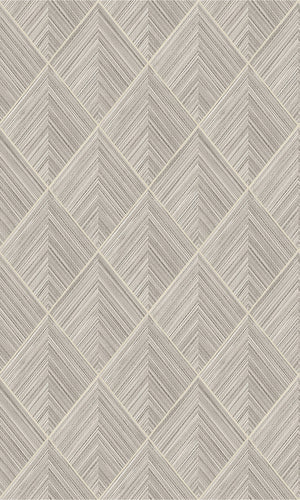 Taupe Grey Geometric Illusion Wallpaper R5647