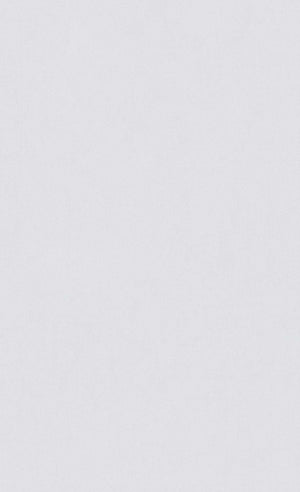 Minimalist Abalone Gray Wallpaper C7286 | Commercial and Hospitality