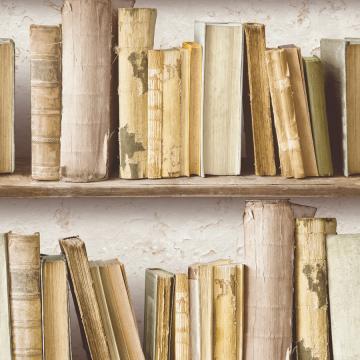 Rustic Contemporary Vintage Grey Let's Read Bookshelf Wallpaper R3692