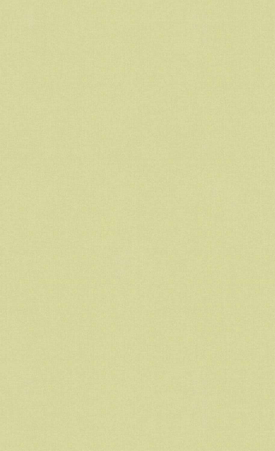 Minimalist Olive Green Wallpaper C7287 | Commercial and Hospitality