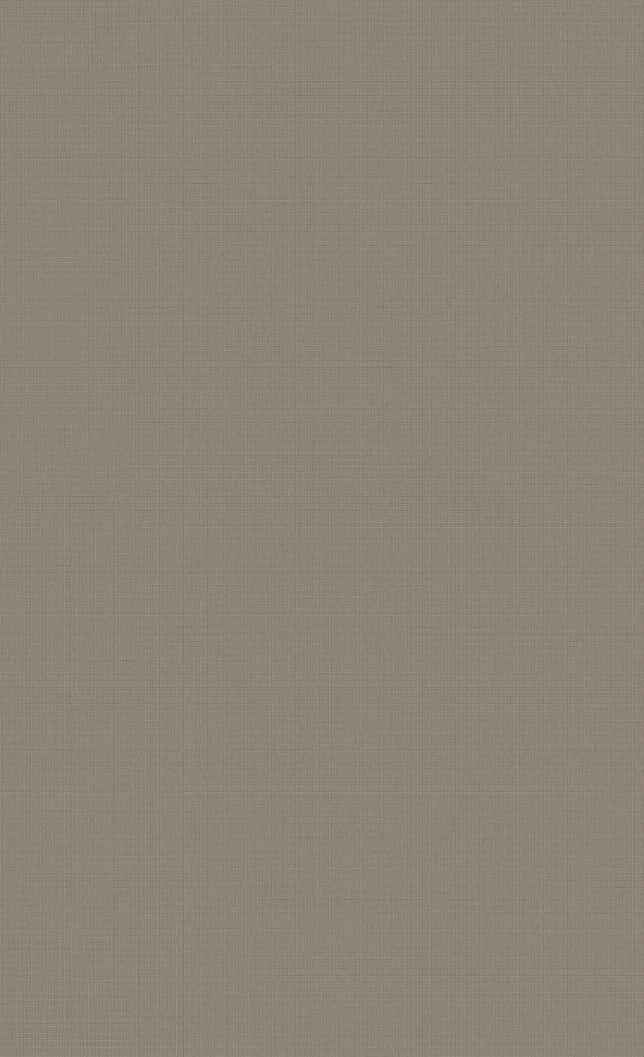 Dark Gray Minimalist Wallpaper C7278 | Commercial & Hospitality