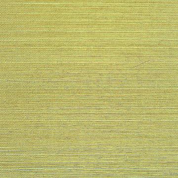 Ramie Forest Green Majestic Grasscloth Wallpaper R1964