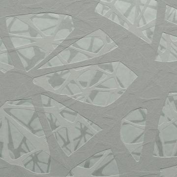 Grey Overlay S43712