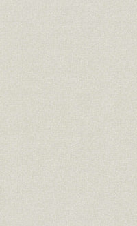 Light Gray Plain Commercial Wallpaper C7225 | Office & Hotel